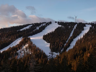 Kinderhotel: Skigebiet Salzstiegl - ***Erlebnisgasthof Moasterhaus