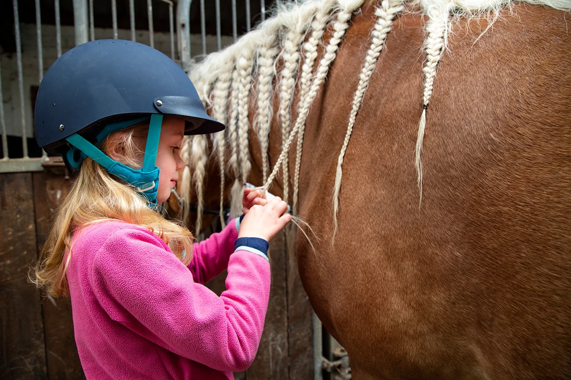 Kinderhotel:  Ich hab’ die Haare schön – und mein Pferd auch - Frieslandstern - Ferienhof und Hotel