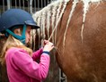Kinderhotel:  Ich hab’ die Haare schön – und mein Pferd auch - Frieslandstern - Ferienhof und Hotel