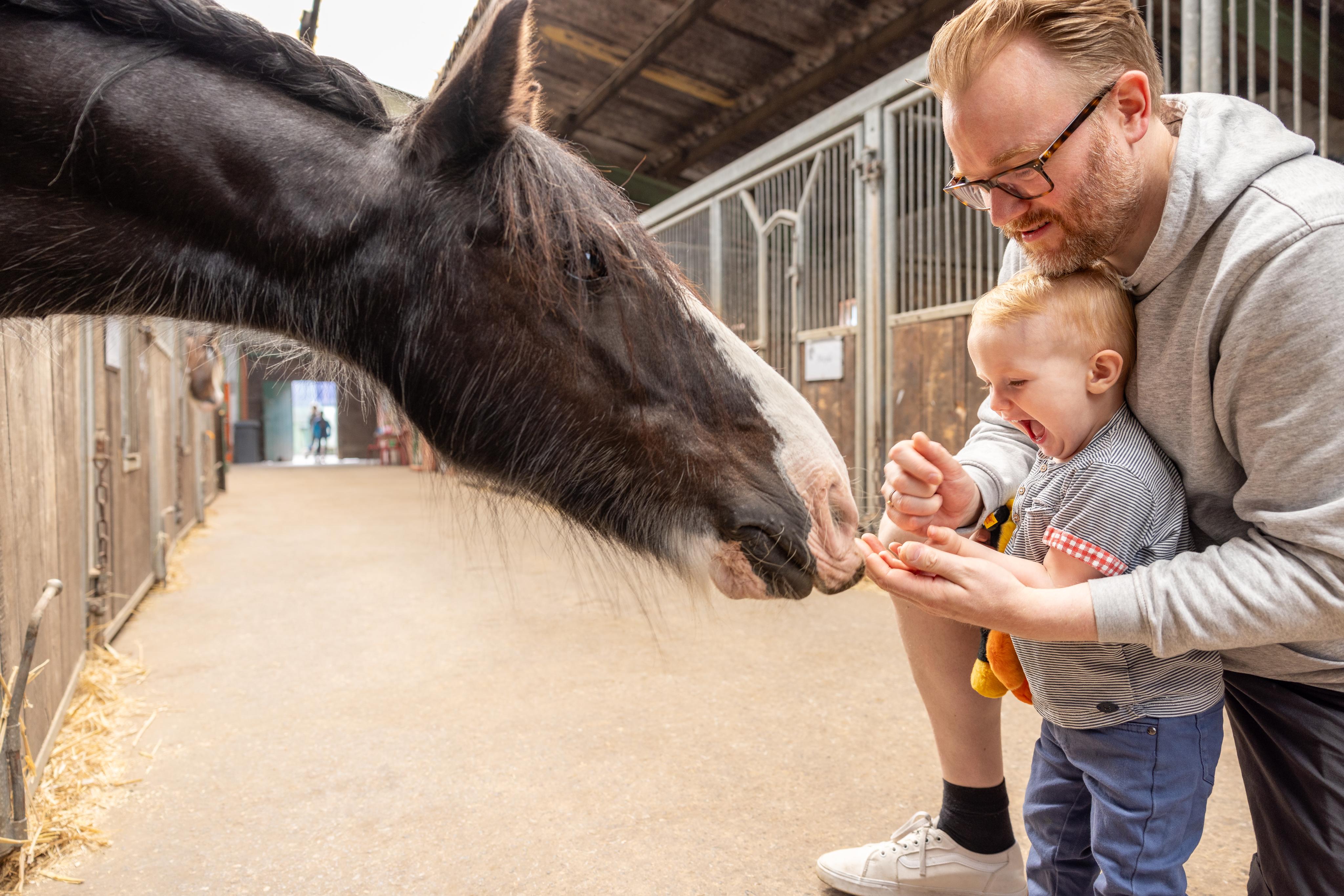 Kinderhotel: Keine Angst, Papa ist da - Frieslandstern - Ferienhof und Hotel
