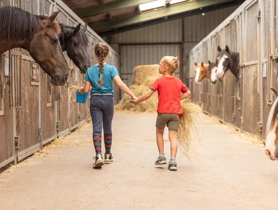 Kinderhotel: Kinderfreundschaft auf dem Hof - Frieslandstern - Ferienhof und Hotel