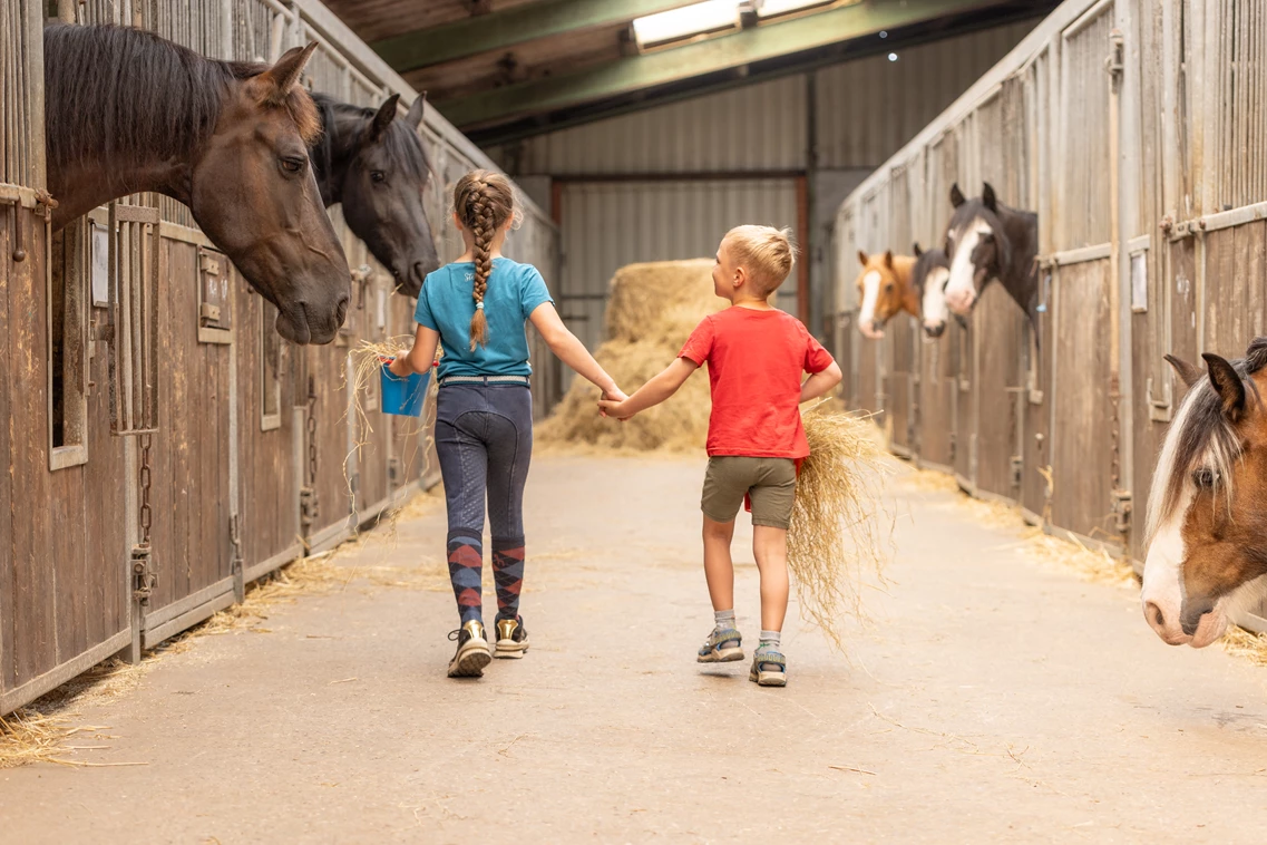 Kinderhotel: Kinderfreundschaft auf dem Hof - Frieslandstern - Ferienhof und Hotel