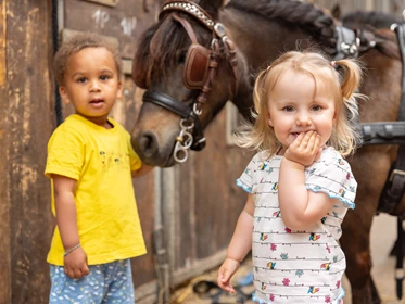 Kinderhotel: Ein pferdischer Urlaub für Familien mit (Klein-)Kindern und Teenagern - Frieslandstern - Ferienhof und Hotel