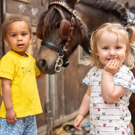 Kinderhotel: Ein pferdischer Urlaub für Familien mit (Klein-)Kindern und Teenagern - Frieslandstern - Ferienhof und Hotel