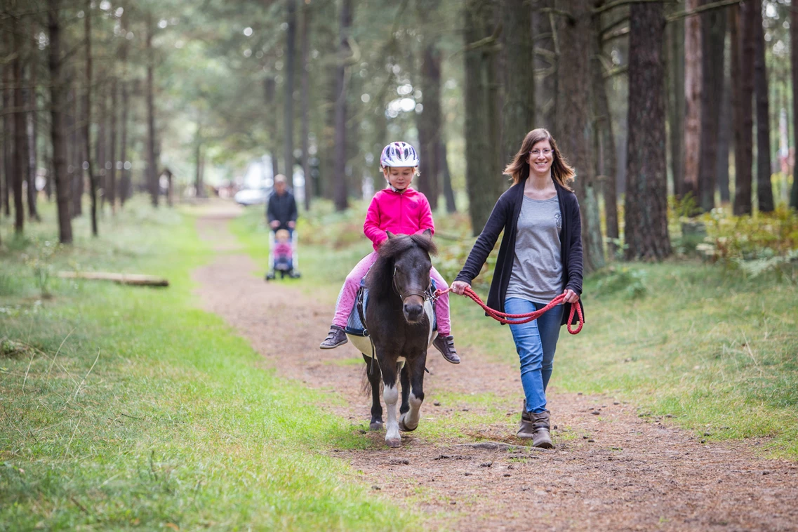 Kinderhotel: Ponyreiten durch den Nationalpark - Familotel Borchard's Rookhus