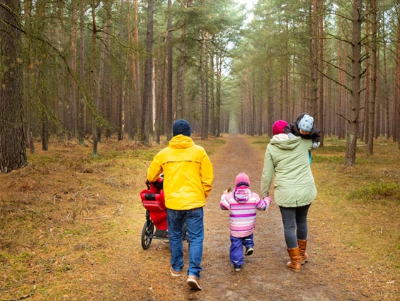 Kinderhotel: familienfreundliche & kinderwagengeeignete Wanderwege direkt am Hotel - Familotel Borchard's Rookhus