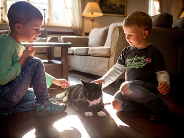 Kinderhotel: Kuscheln mit Hauskatze Tiger - Familotel Borchard's Rookhus