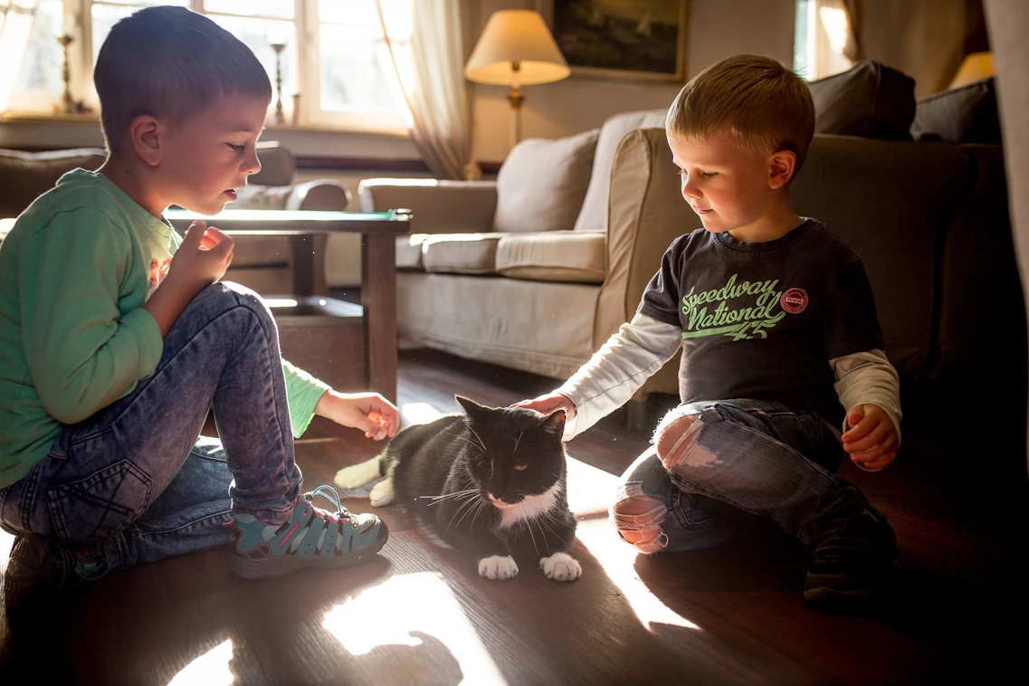 Kinderhotel: Kuscheln mit Hauskatze Tiger - Familotel Borchard's Rookhus