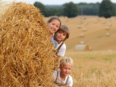 Kinderhotel: Spielen in der Mecklenburger Natur - Golchener Hof