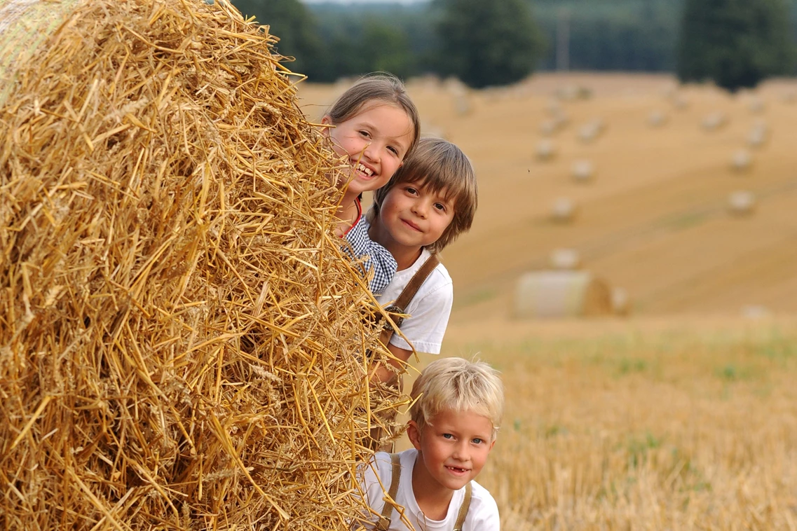 Kinderhotel: Spielen in der Mecklenburger Natur - Golchener Hof