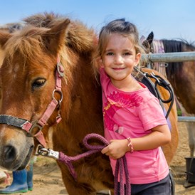 Kinderhotel: Viele Ponys auf dem Hof - Gut Landegge Familotel Emsland
