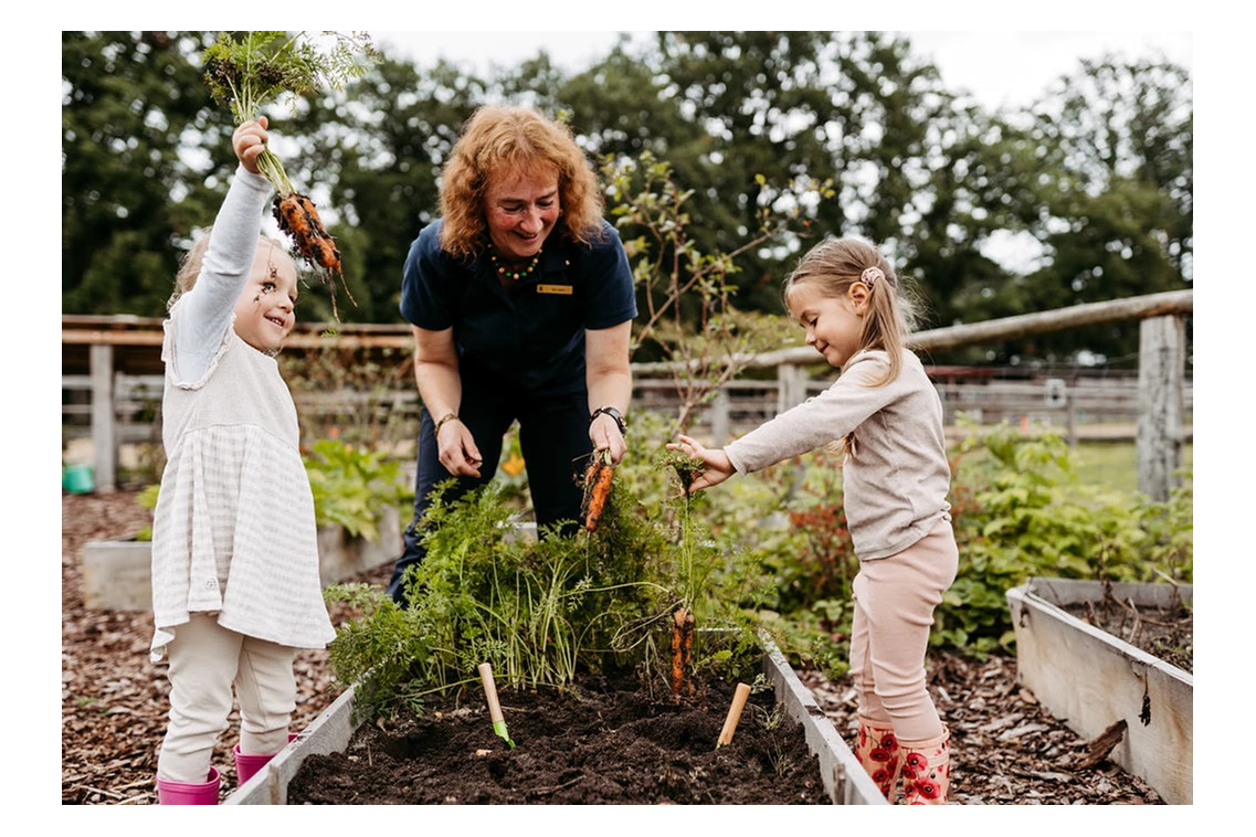 Kinderhotel: Kinderbetreuung in der Natur mit eigenem Gemüsegarten - Familotel Landhaus Averbeck