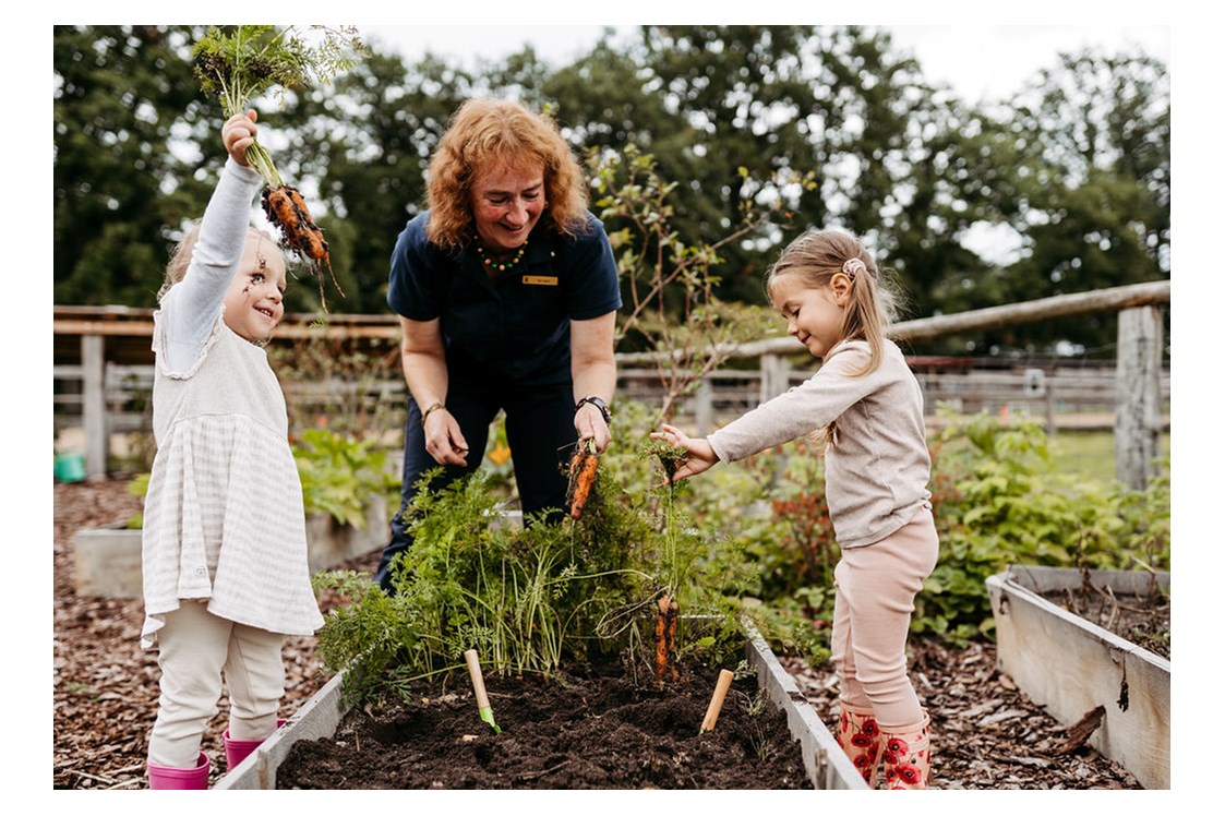 Kinderhotel: Kinderbetreuung in der Natur mit eigenem Gemüsegarten - Familotel Landhaus Averbeck