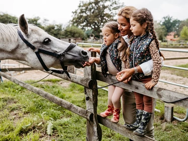 Kinderhotel: Pferde und Ponies zum Streicheln und Reiten - Familotel Landhaus Averbeck