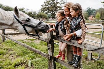 Kinderhotel: Pferde und Ponies zum Streicheln und Reiten - Familotel Landhaus Averbeck