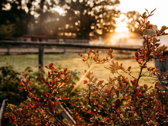 Kinderhotel: Herbst im Landhaus Averbeck - Familotel Landhaus Averbeck