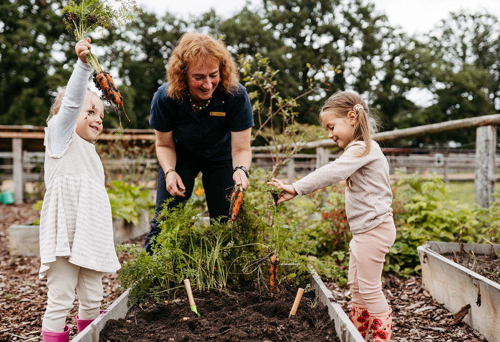 Kinderhotel: Kinderbetreuung in der Natur mit eigenem Gemüsegarten - Landhaus Averbeck