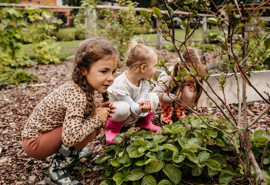 Kinderhotel: Kinderbetreuung in der Natur mit eigenem Gemüsegarten - Landhaus Averbeck