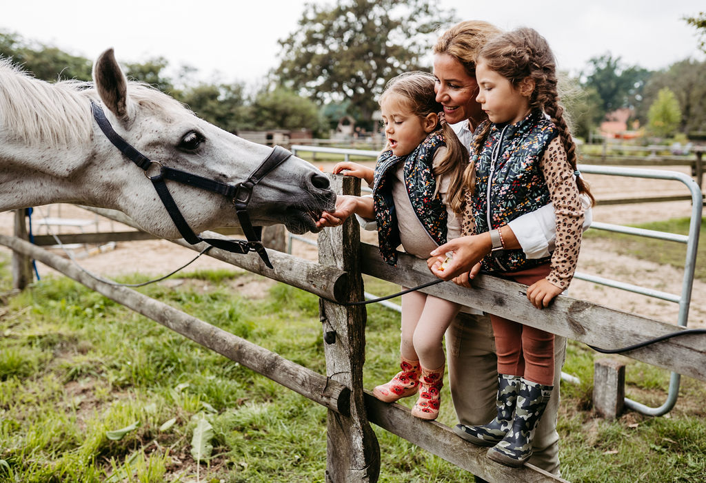 Kinderhotel: Pferde und Ponies zum Streicheln und Reiten - Landhaus Averbeck