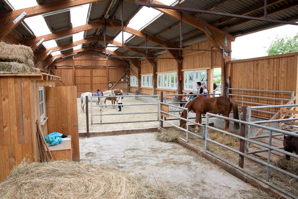 Kinderhotel: Die Reithalle mit unseren Ponys - Familotel Ottonenhof - Die Ferienhofanlage im Sauerland