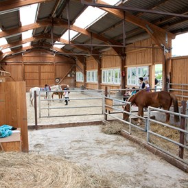 Kinderhotel: Die Reithalle mit unseren Ponys - Familotel Ottonenhof - Die Ferienhofanlage im Sauerland