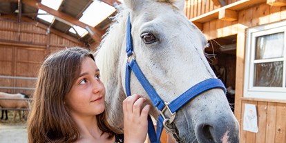 Familienhotel - Klassifizierung: 3 Sterne - Teutoburger Wald - Ponys - unsere Ponys freuen sich schon, euch kennenzulernen  - Familotel Ottonenhof - Die Ferienhofanlage im Sauerland