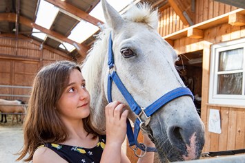 Kinderhotel: Ponys - unsere Ponys freuen sich schon, euch kennenzulernen  - Familotel Ottonenhof - Die Ferienhofanlage im Sauerland