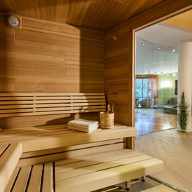 Kinderhotel: Sauna - Gut Berg Naturhotel