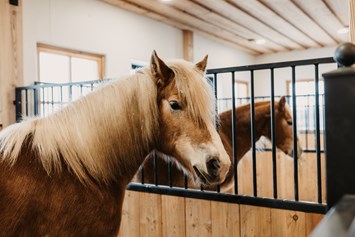 Kinderhotel: Pferde, Ponys  - Gut Berg Naturhotel