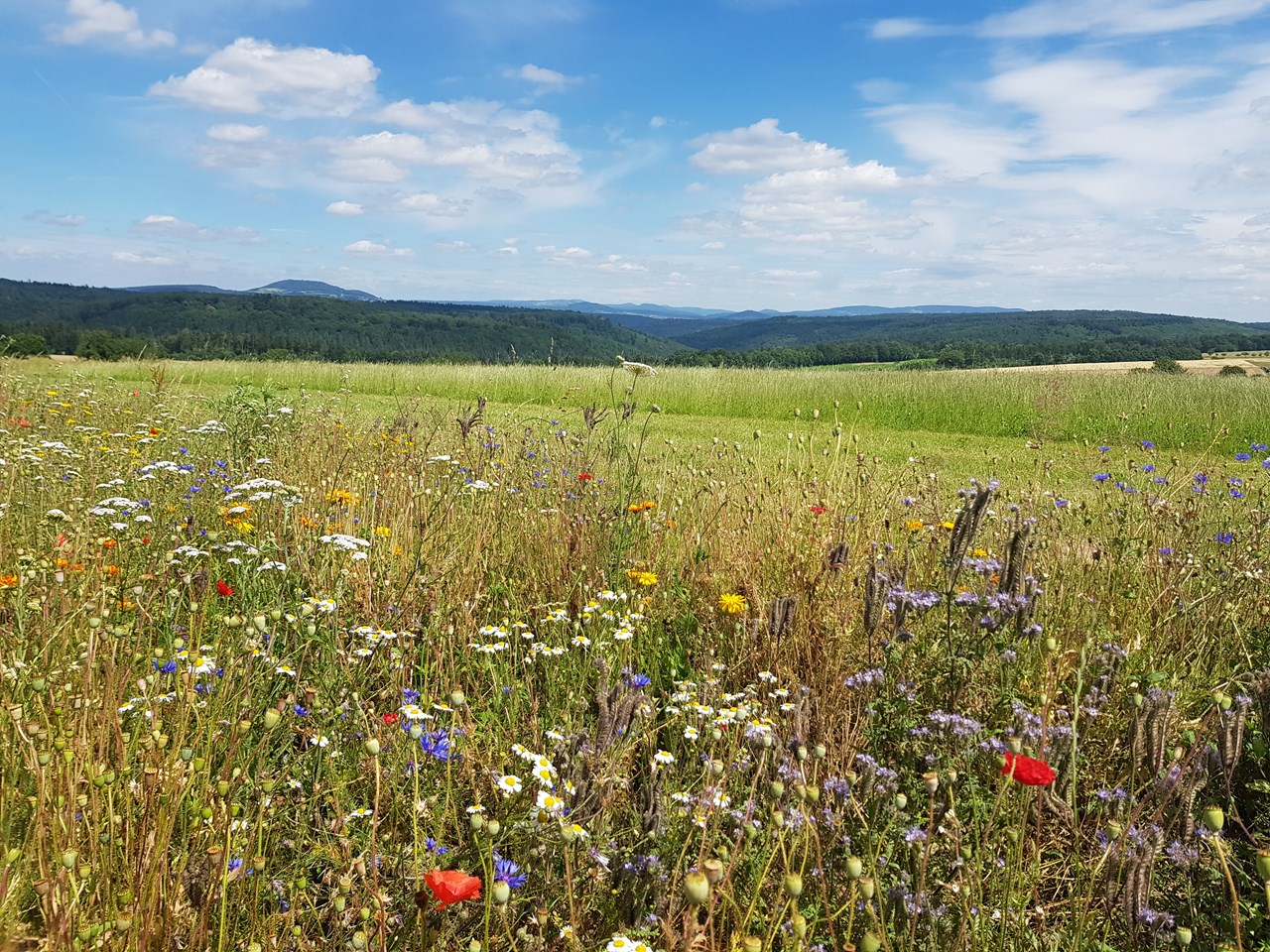 Hotel Sonnenhügel Familotel Rhön Ausflugsziele Wanderungen