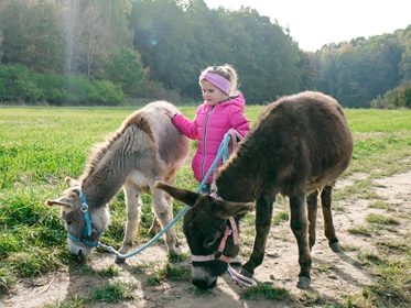 Familienhotel: Familienhotel Friedrichshof