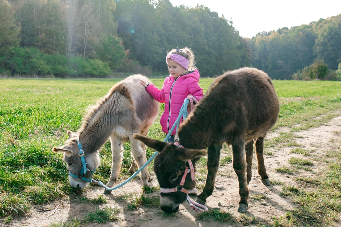 Familienhotel: Familienhotel Friedrichshof