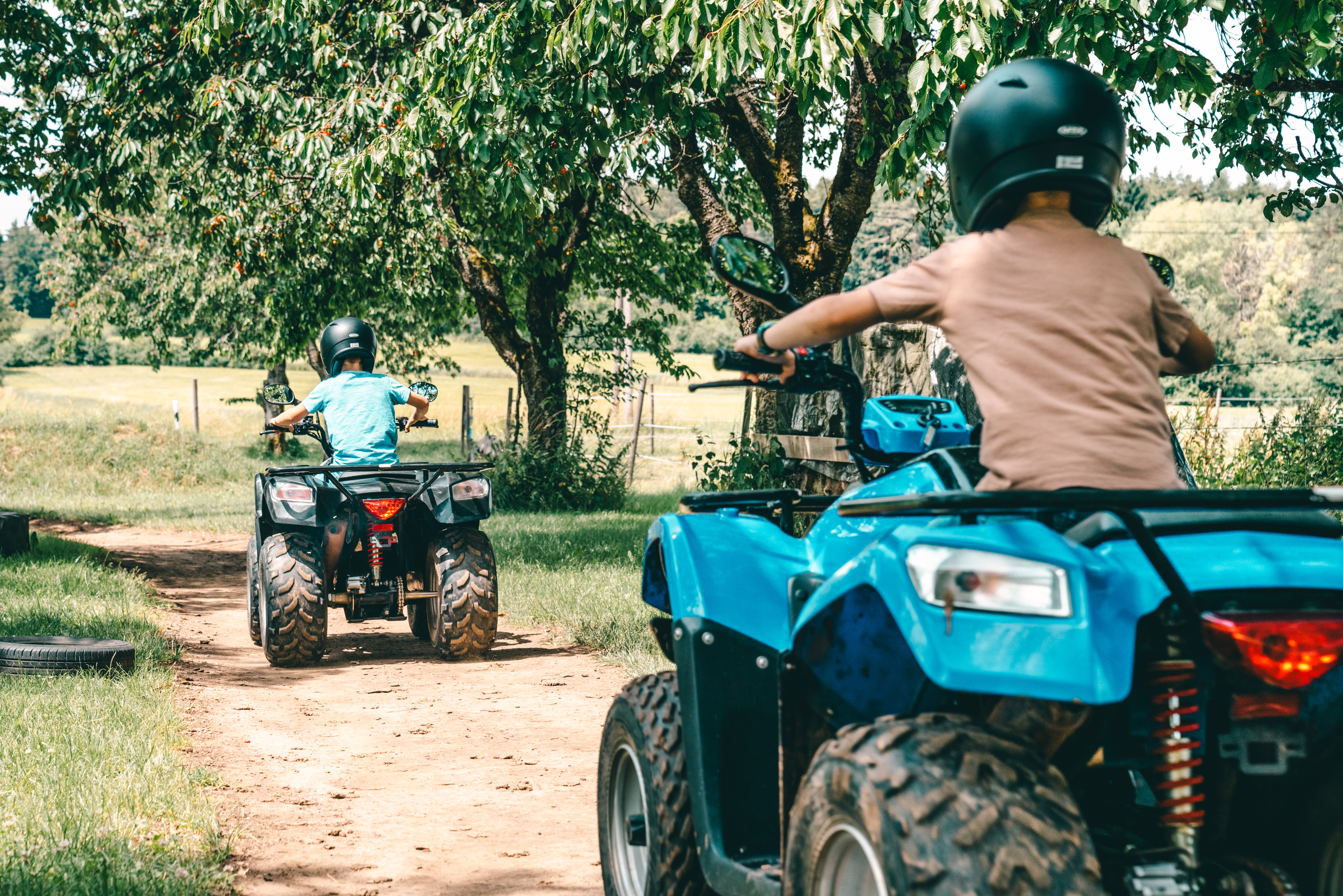 Familienhotel: Familienhotel Friedrichshof