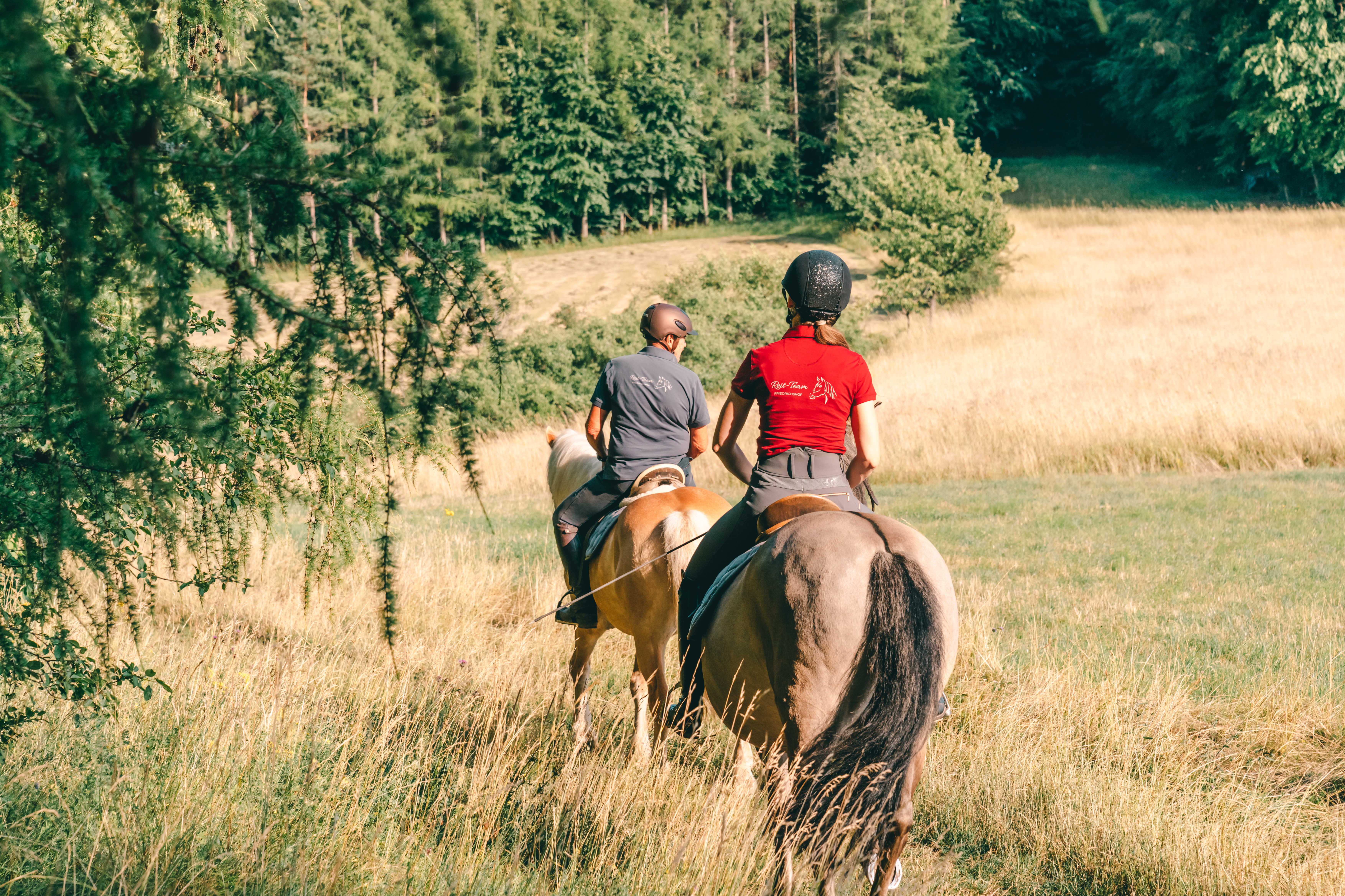 Familienhotel: Familienhotel Friedrichshof