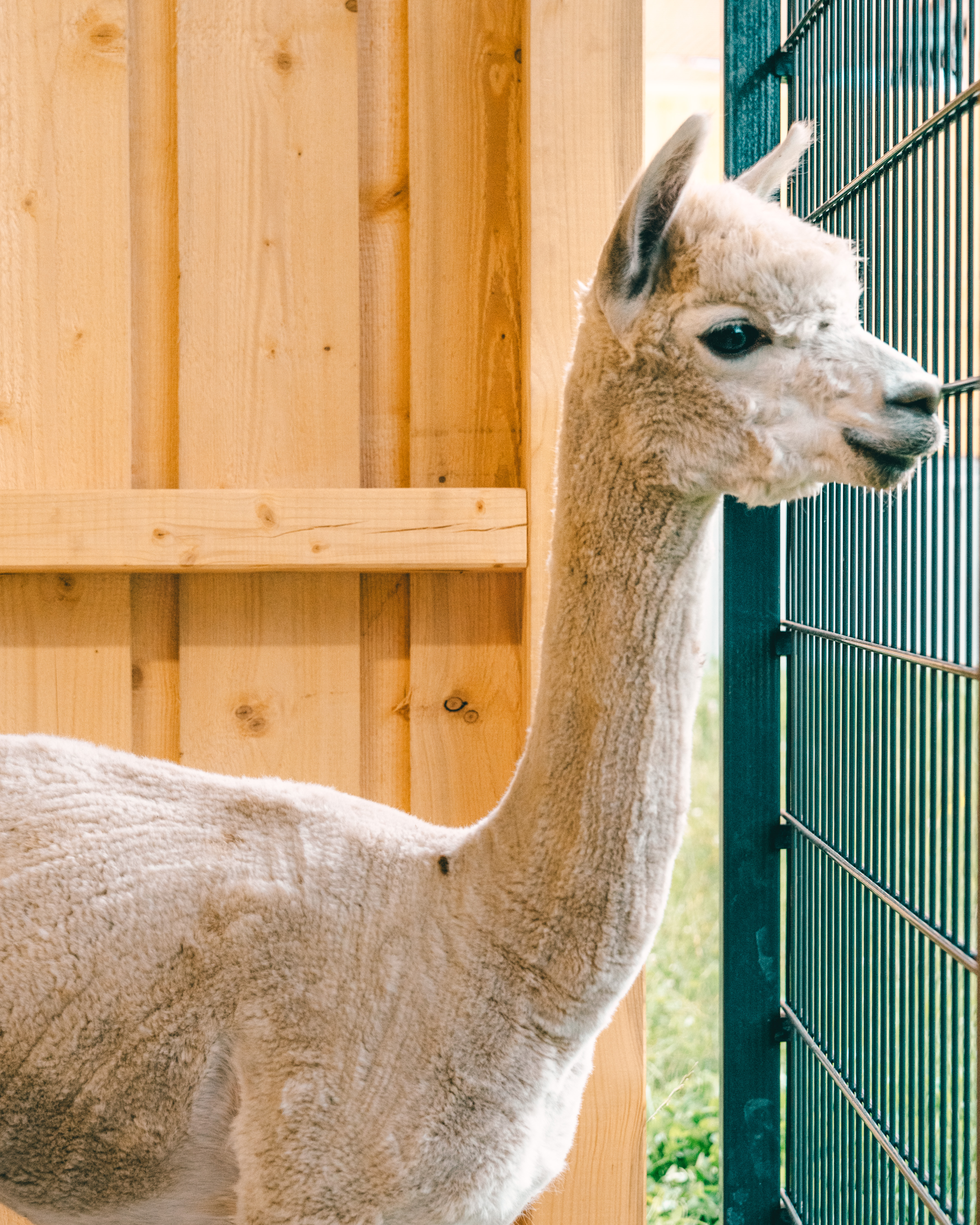 Familienhotel: Familienhotel Friedrichshof