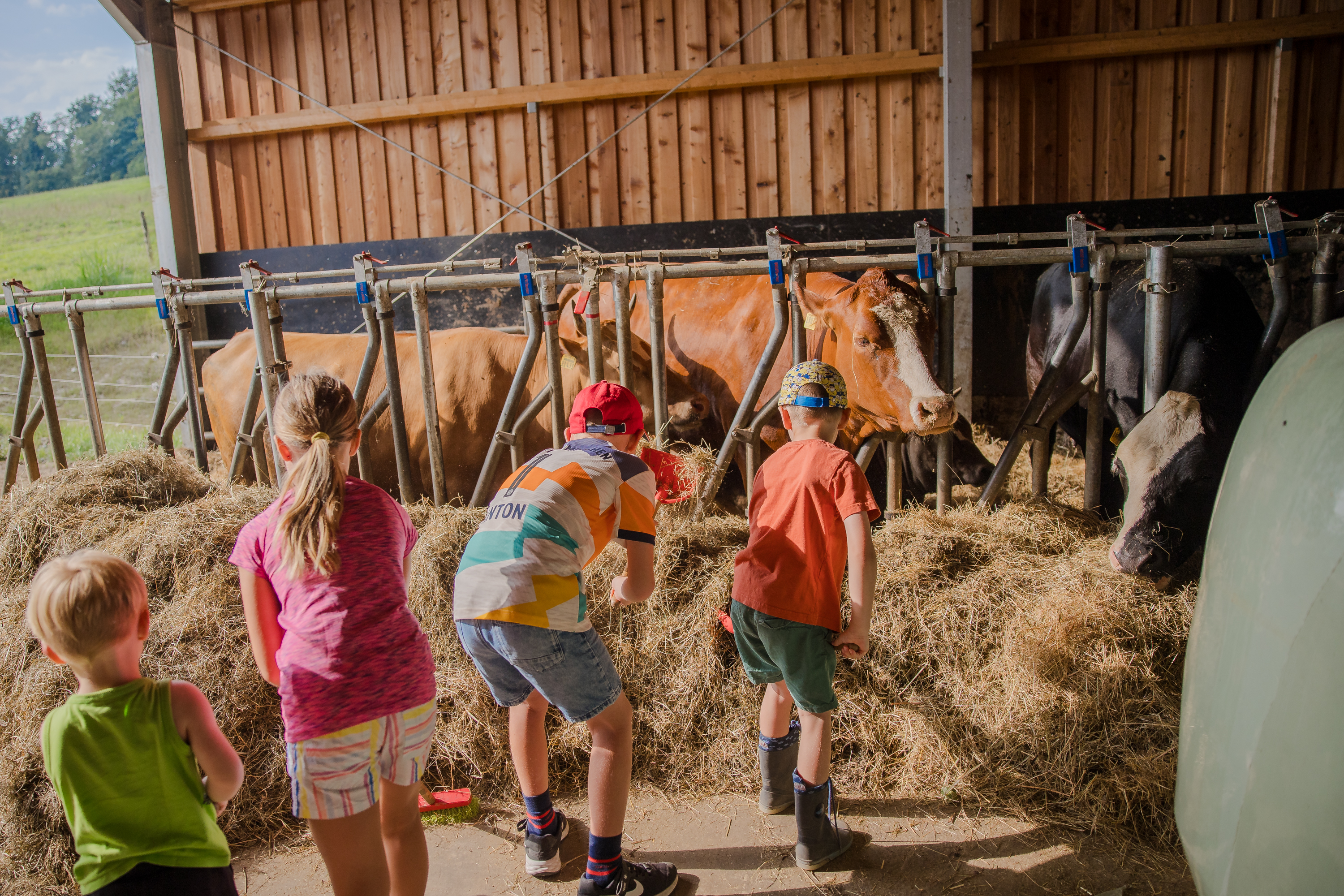 Familienhotel - Umgebungsschwerpunkt: See - Echtes Bauernhoferlebnis - Familotel Schreinerhof - 4 Sterne Superior 