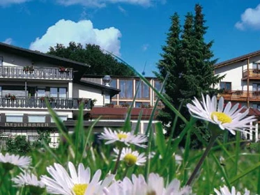 Familienhotel: Blumenwiese vor dem Haus - Familienhotel Villa Waldeck