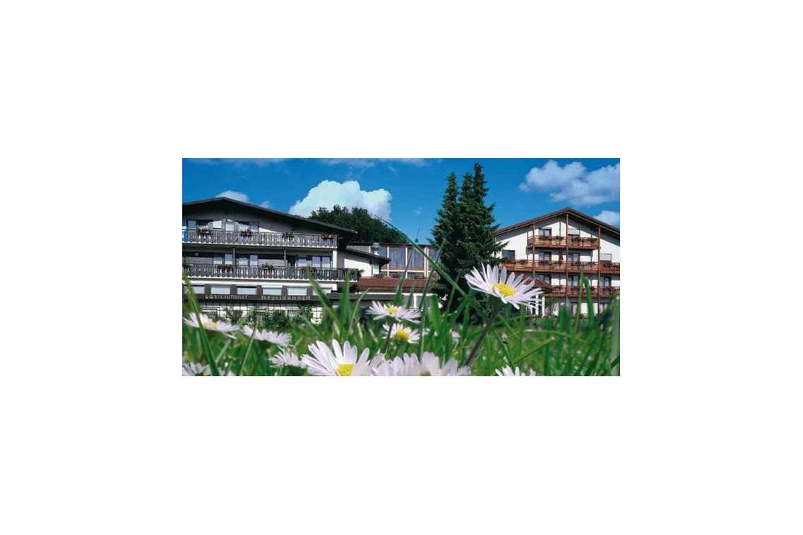 Familienhotel: Blumenwiese vor dem Haus - Familienhotel Villa Waldeck