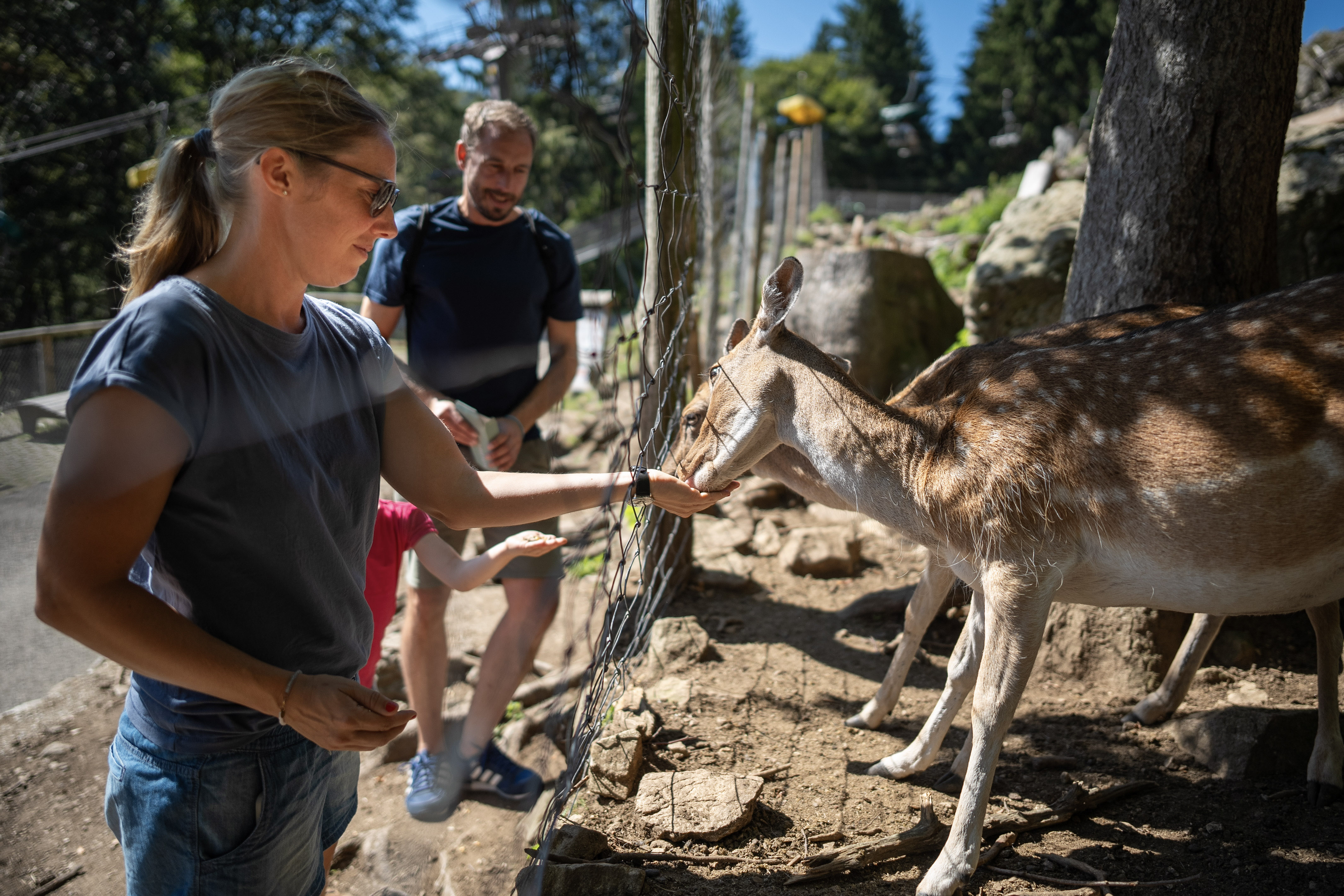 Feldberger Hof Ausflugsziele Hochschwarzwald Card