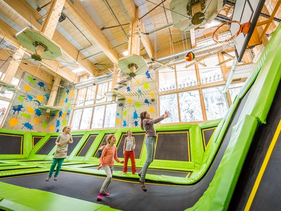 Kinderhotel: Indoor-Sporthalle mit Trampolin & Hochseilgarten
 - Feldberger Hof