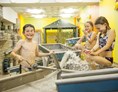 Kinderhotel: Splash-World mit Baby-Planschbecken - Feldberger Hof
