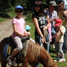 Kinderhotel: Pony reiten für groß und klein - unser beliebtes Ausflugsprogramm - Kinderhotel STEFAN****