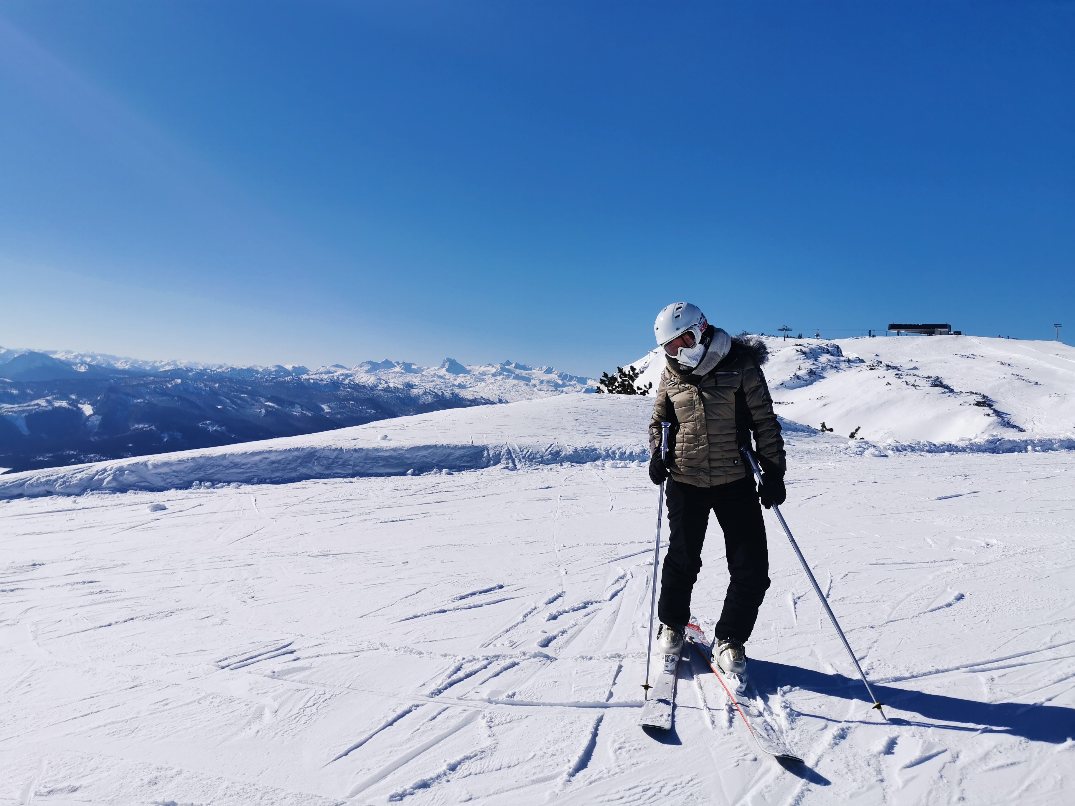 Kinderhotel: Hollhaus