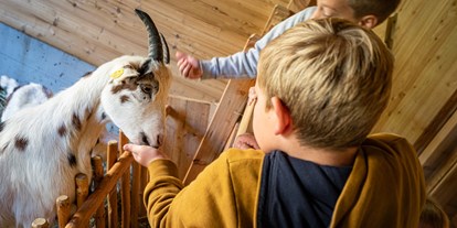 Familienhotel - Kremsbrücke - Der Kleintierbauernhof ist besonders bei Kindern sehr beliebt.  - Familienhotel Oberkarteis
