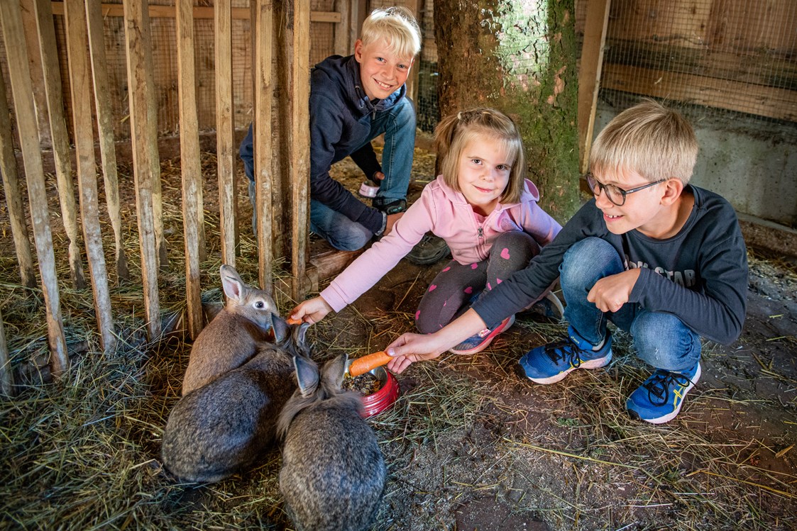 Familienhotel: Der Kleintierbauernhof ist besonders bei Kindern sehr beliebt.  - Familienhotel Oberkarteis
