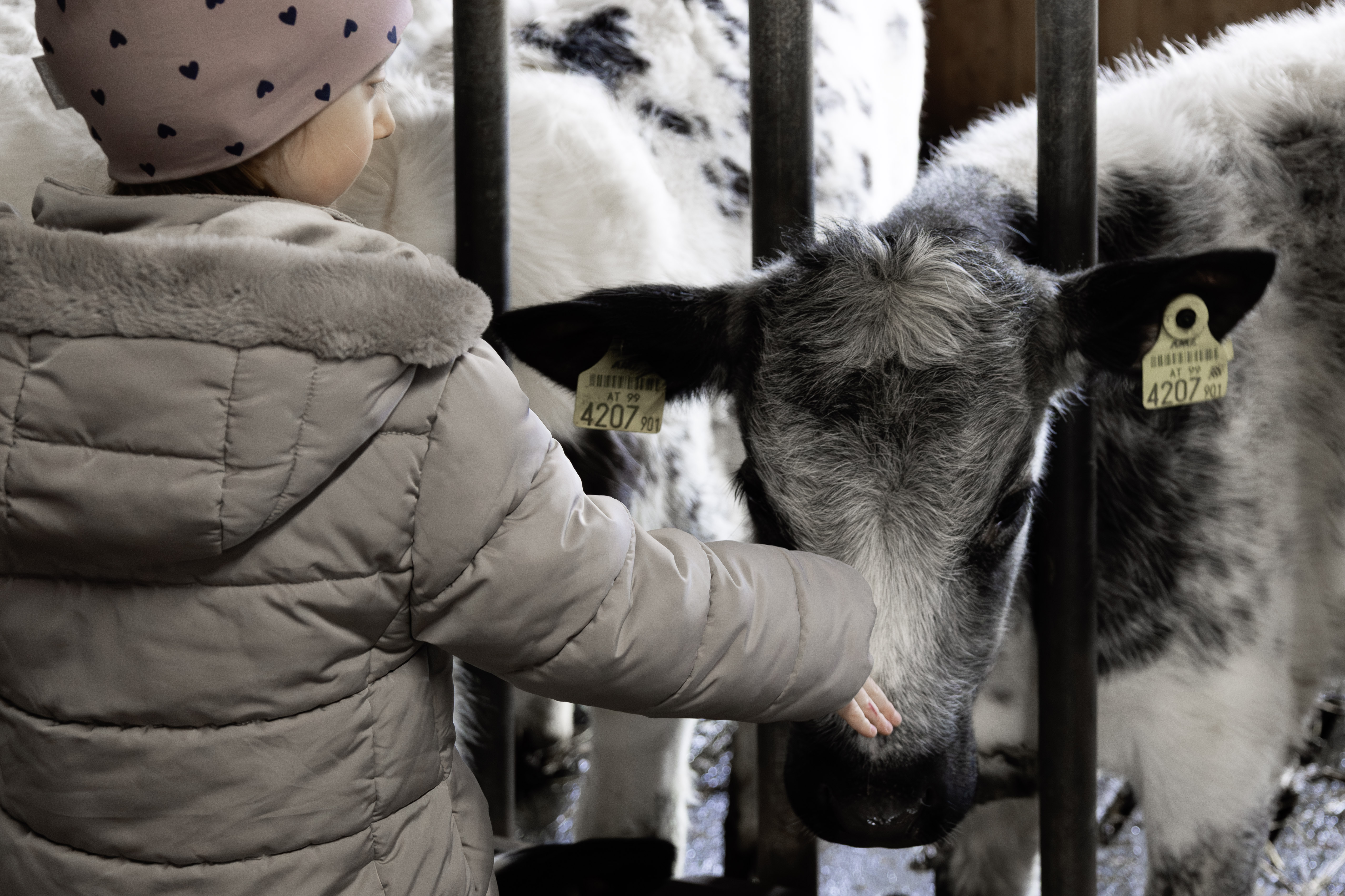 Familienhotel: FAMILIENHOTEL OBERKARTEIS - Spielen | Entdecken