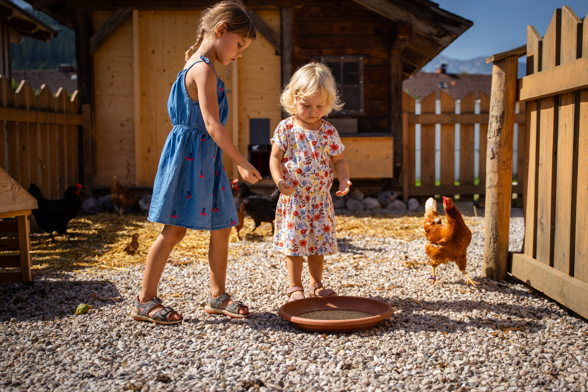 Kinderhotel: Streichelzoo - Dilly - Das Nationalpark Resort