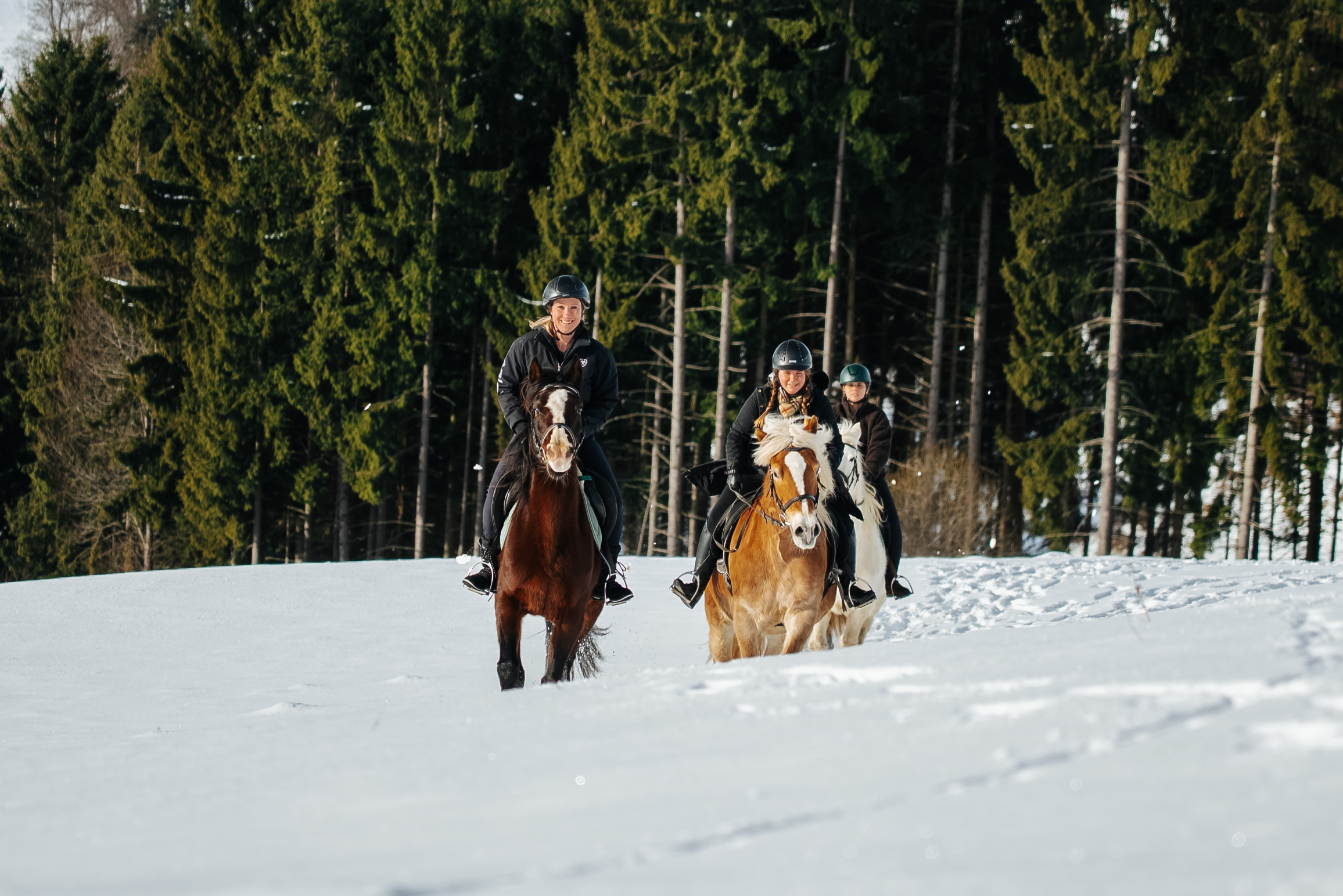 Kinderhotel: Reiten im Winter - Familien Resort Petschnighof