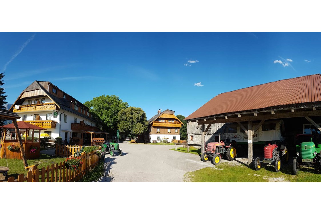 Kinderhotel: Pürcherhof im Sommer - Hotel Pension Pürcherhof