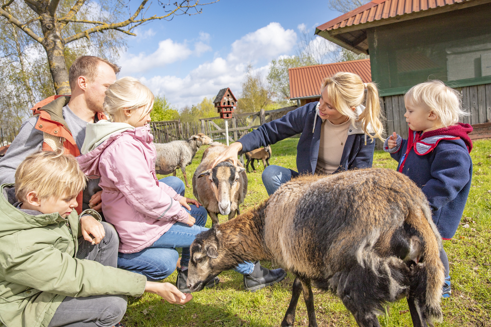 Familienhotel - Umgebungsschwerpunkt: See - BEECH Resort Fleesensee